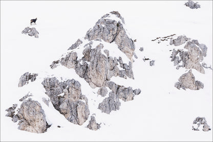 DOLOMITEN - Bild 6