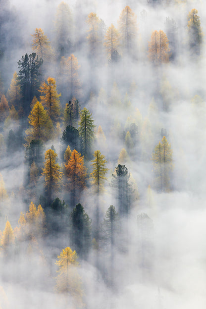 DOLOMITEN - Bild 3