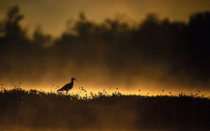 Europäischer Naturfotograf des Jahres 2022 - Bild 6