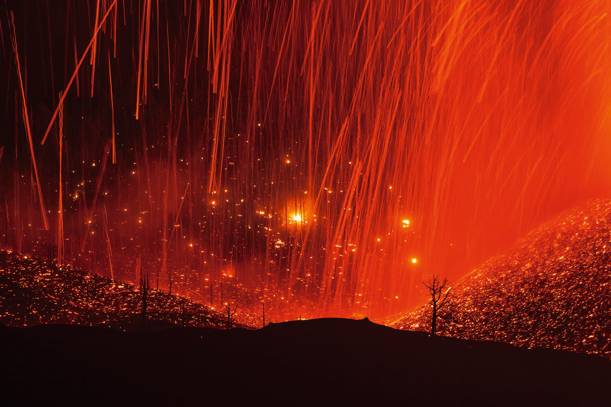 Europäischer Naturfotograf des Jahres 2022 - Bild 3