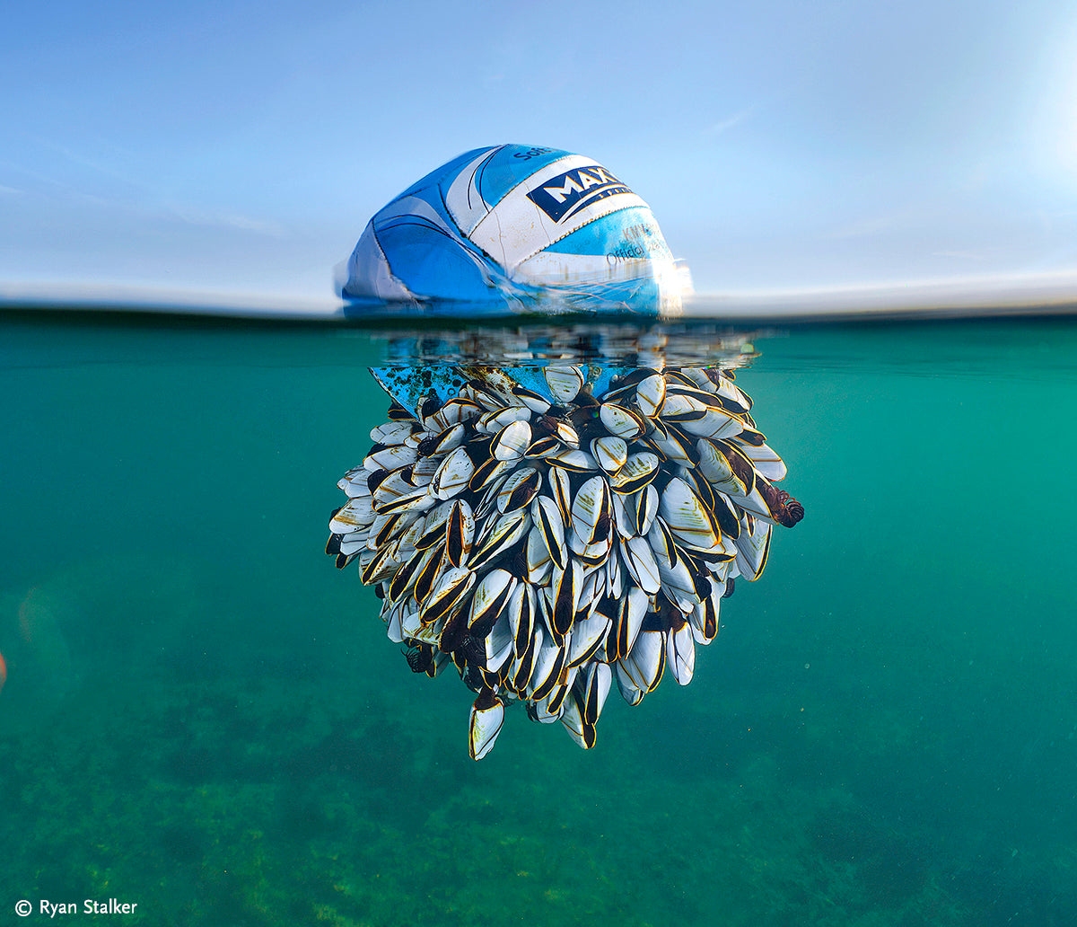 Europäischer Naturfotograf des Jahres 2023 - Bild 2