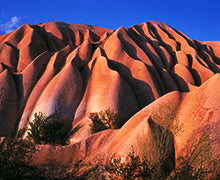 FASZINATION NATUR - Bild 4