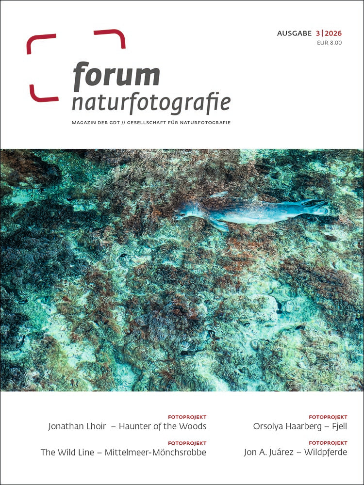 forum naturfotografie 3/2026