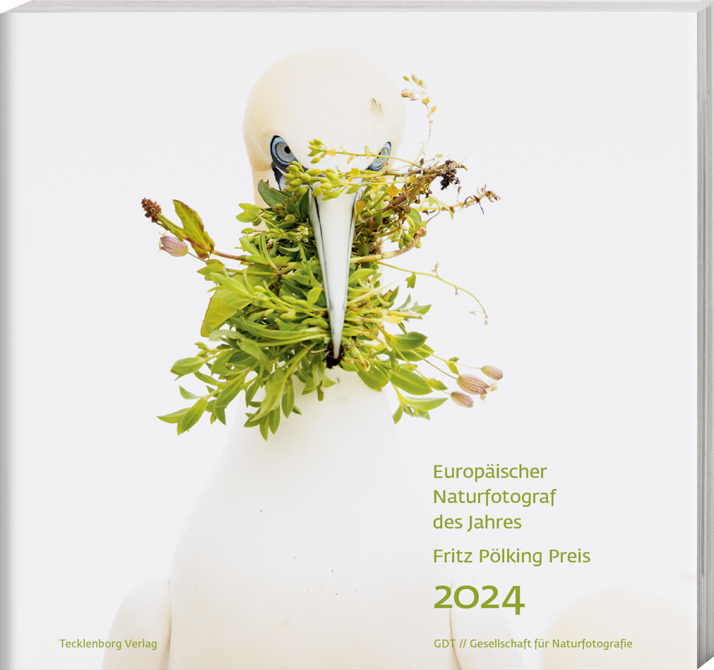 Europäischer Naturfotograf des Jahres 2024
