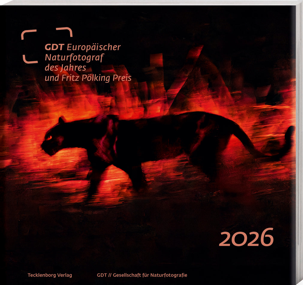 Europäischer Naturfotograf des Jahres 2026