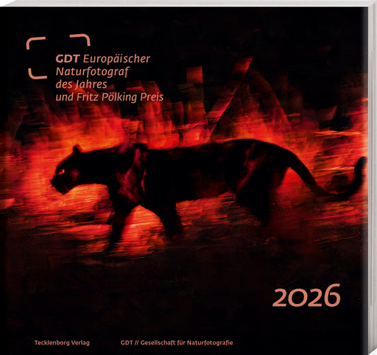 Europäischer Naturfotograf des Jahres 2026