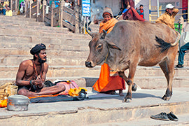 INDIEN - Bild 4