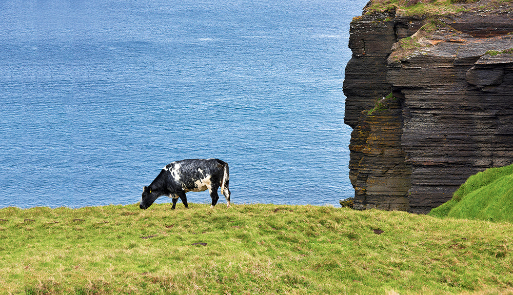 Irland - Bild 3