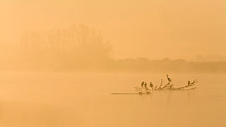 Lebende Landschaft - Bild 3