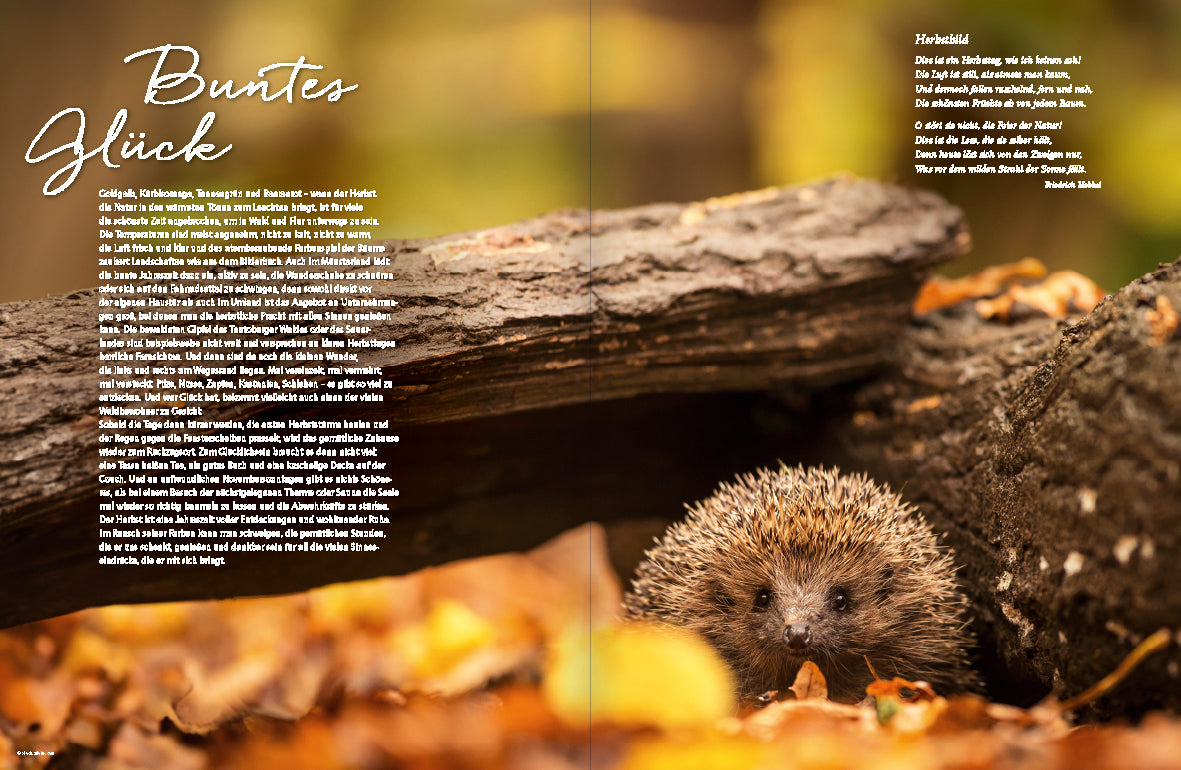 MÜNSTERLAND Magazin 3/2023 - Bild 5