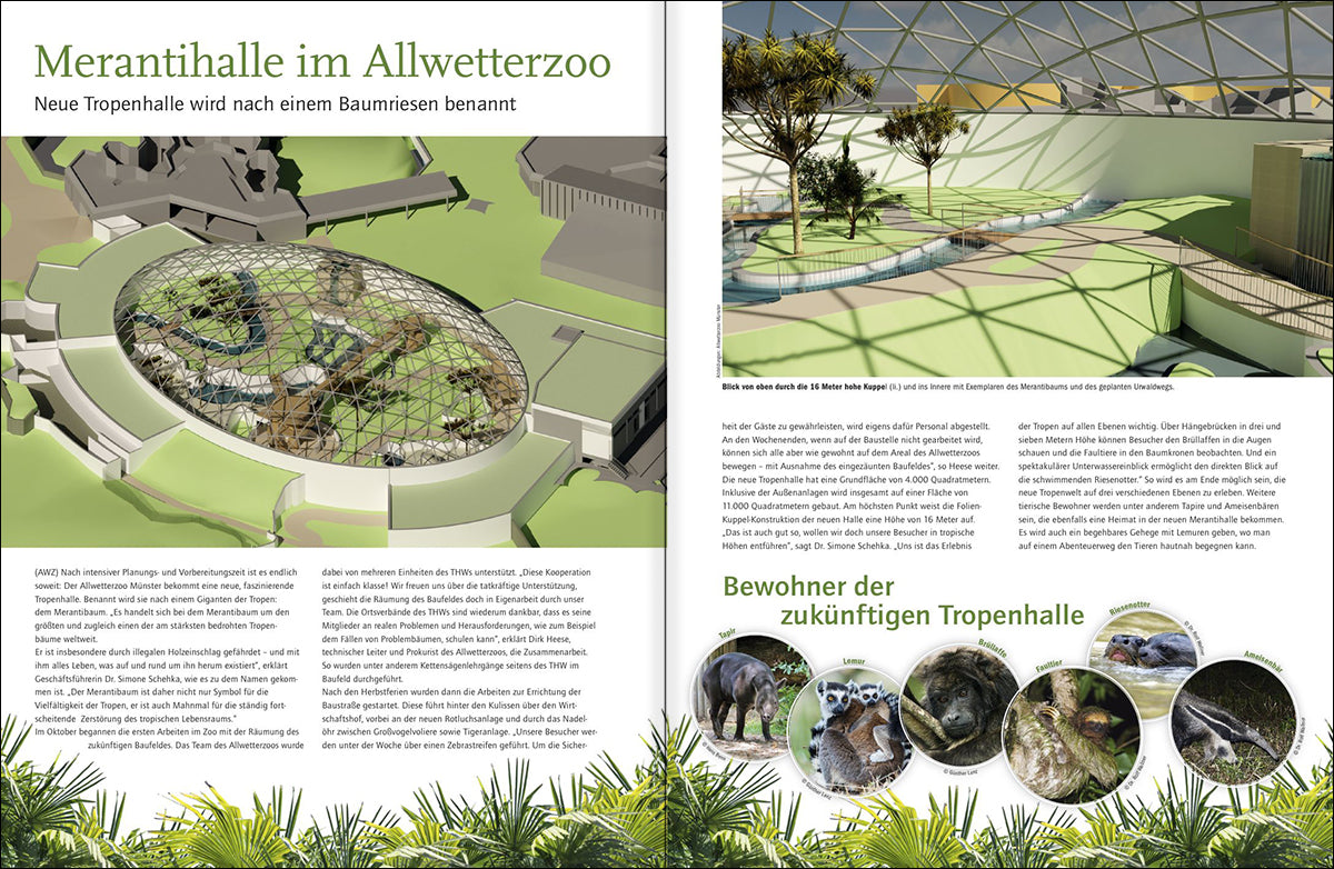 MÜNSTERLAND Magazin 4/2020 - Bild 2