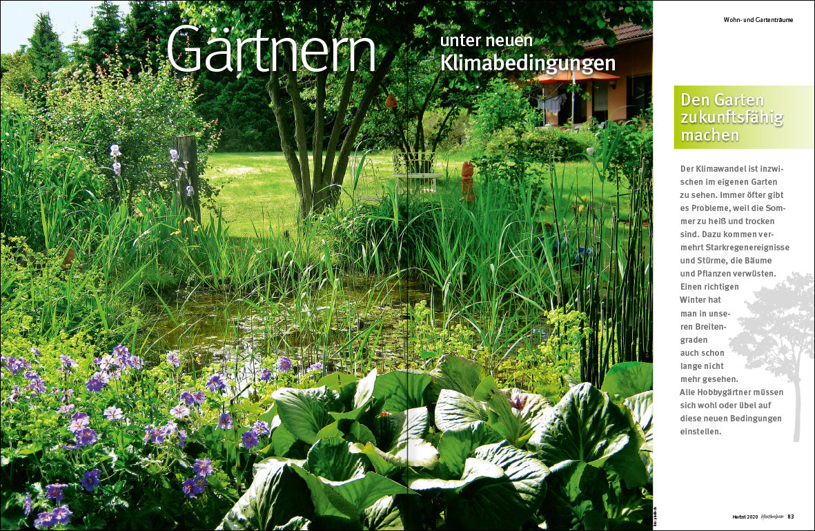 MÜNSTERLAND Magazin 3/2020 - Bild 5