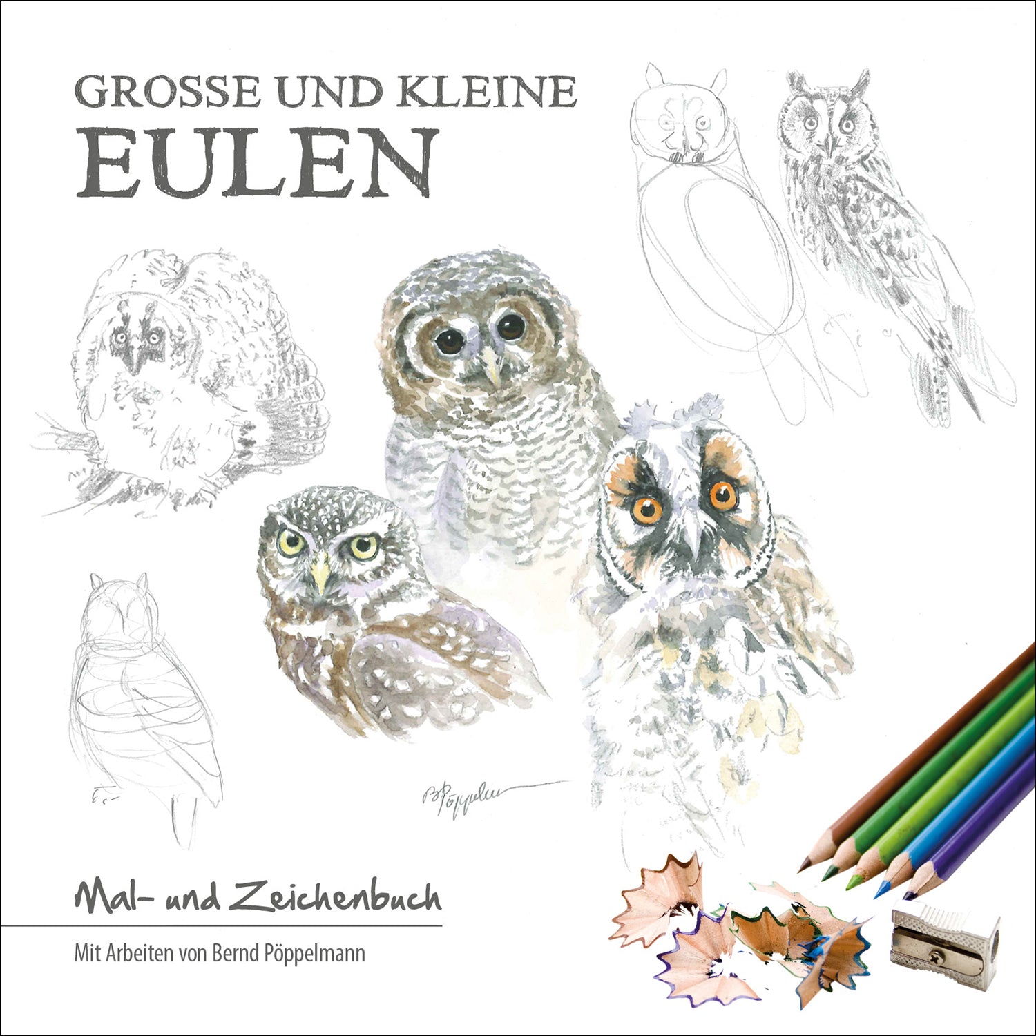 Große und kleine Eulen - Bild 3