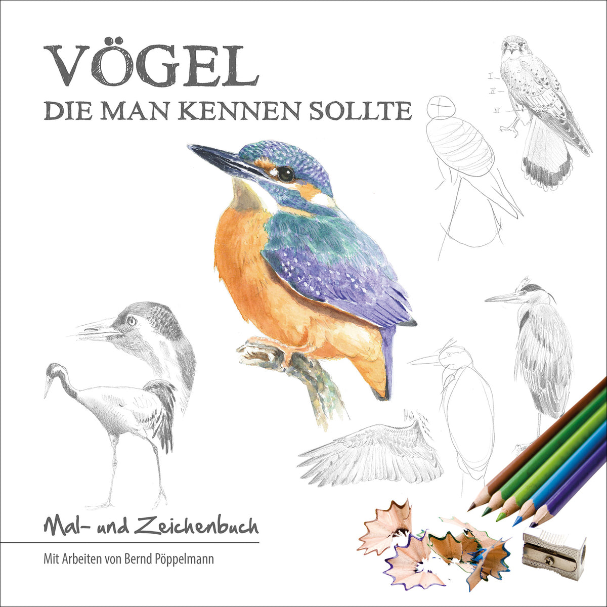 Vögel die man kennen sollte