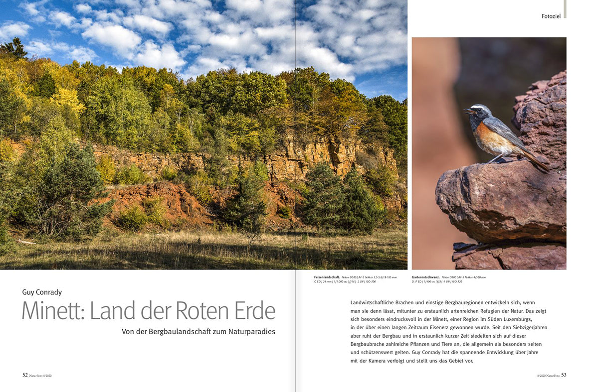 NaturFoto 8/2020 - Bild 7