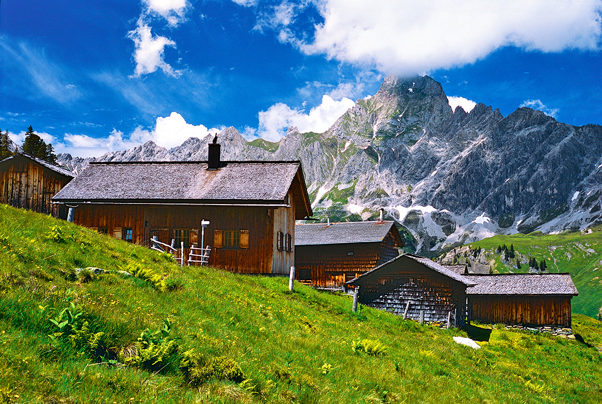 MONTAFON (2017) - Bild 3