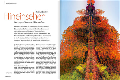 NaturFoto 2/2025 - Bild 6