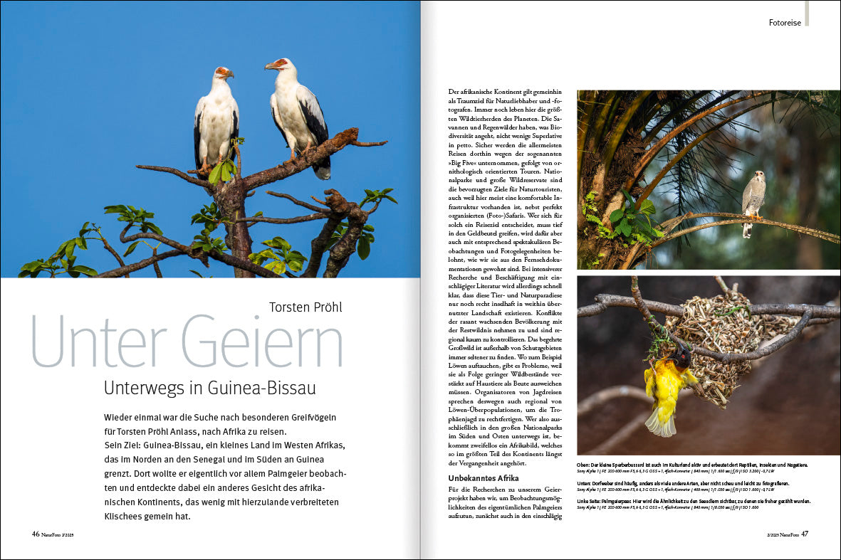 NaturFoto 2/2025 - Bild 5