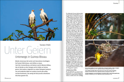 NaturFoto 2/2025 - Bild 5
