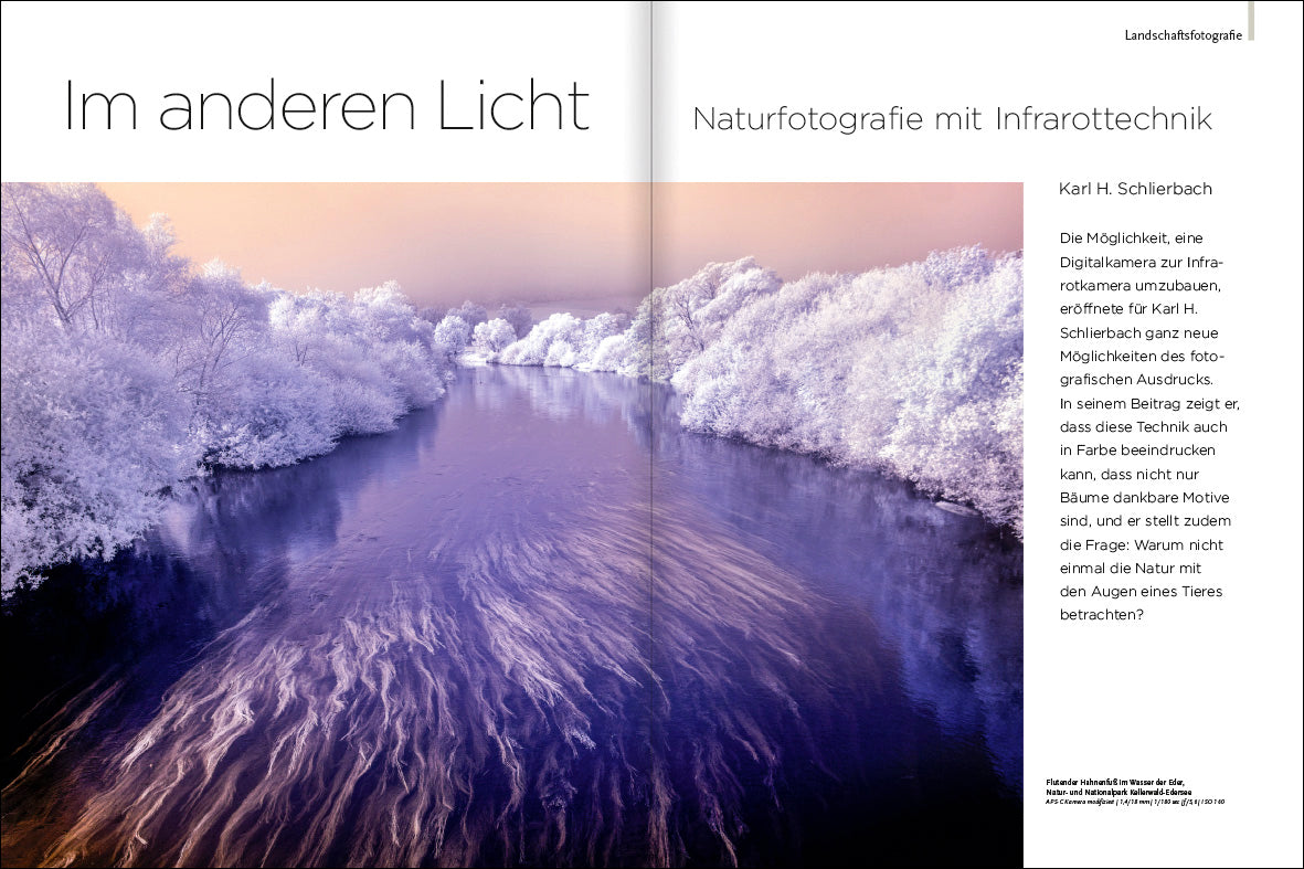 NaturFoto 2/2025 - Bild 2