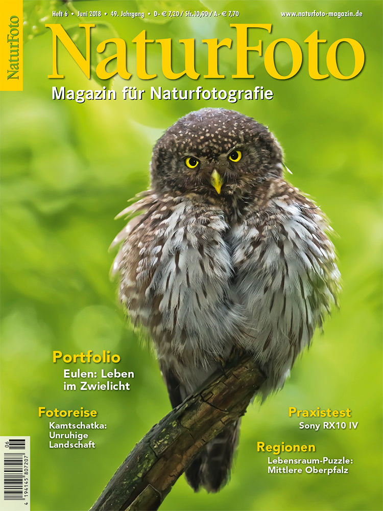 NaturFoto 6/2018