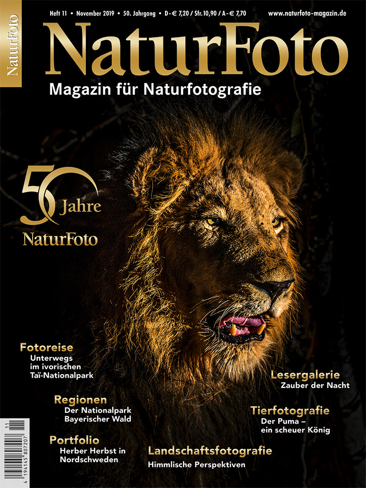 NaturFoto 11/2019