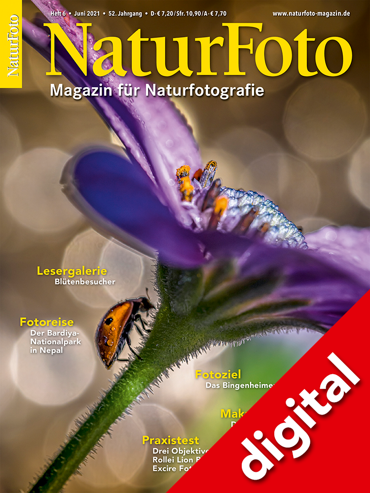 NaturFoto 6/2021