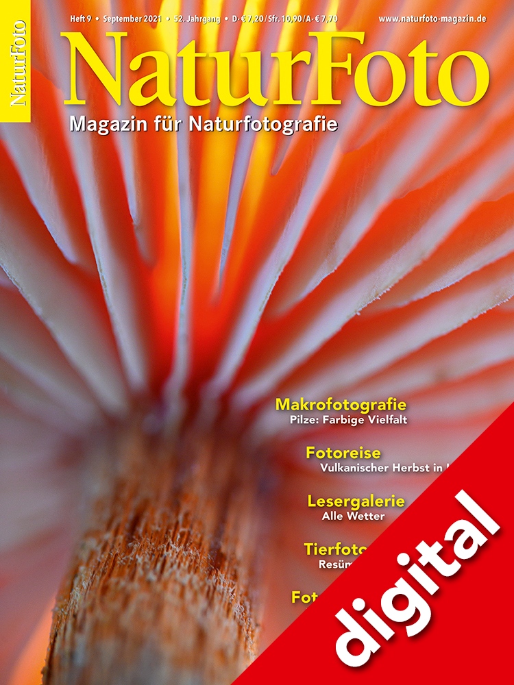 NaturFoto 9/2021