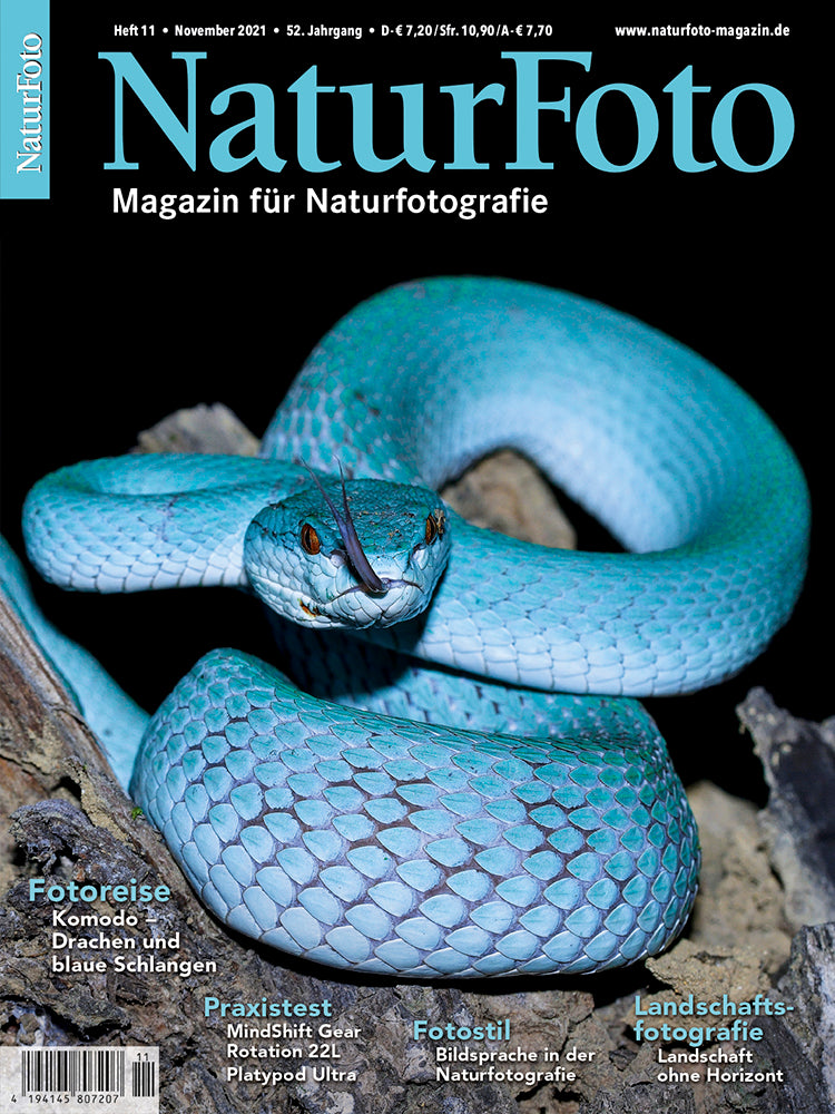 NaturFoto 11/2021
