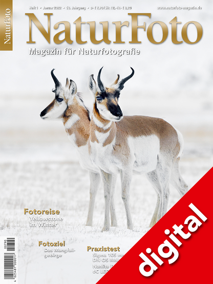 NaturFoto 1/2022