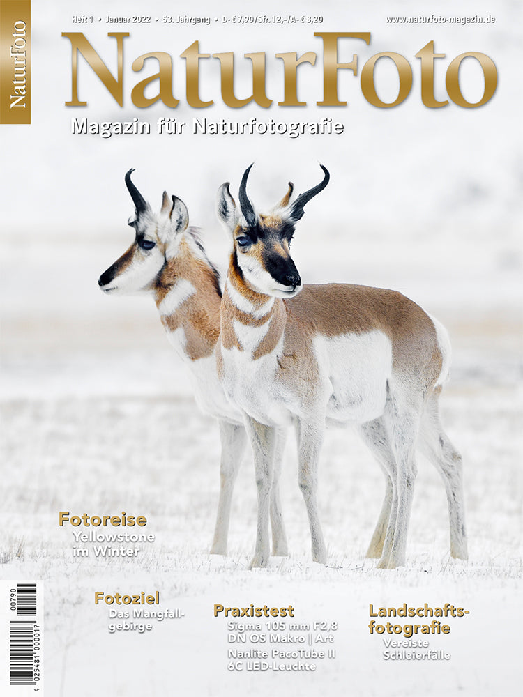 NaturFoto 1/2022 - Bild 6