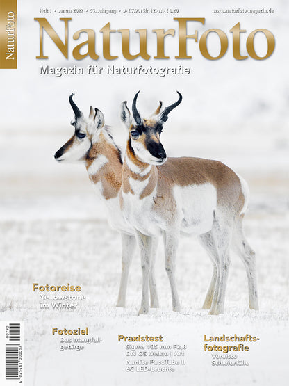 NaturFoto 1/2022 - Bild 6