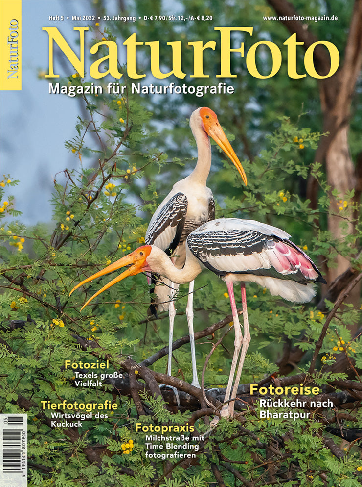 NaturFoto 5/2022