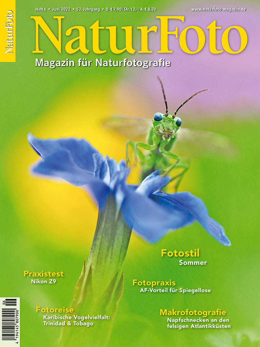 NaturFoto 6/2022