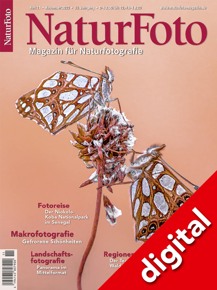 NaturFoto 11/2022 Digital