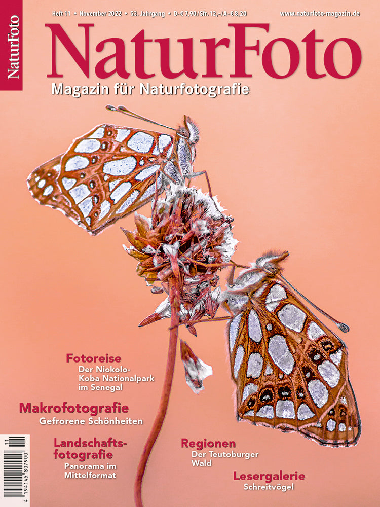 NaturFoto 11/2022