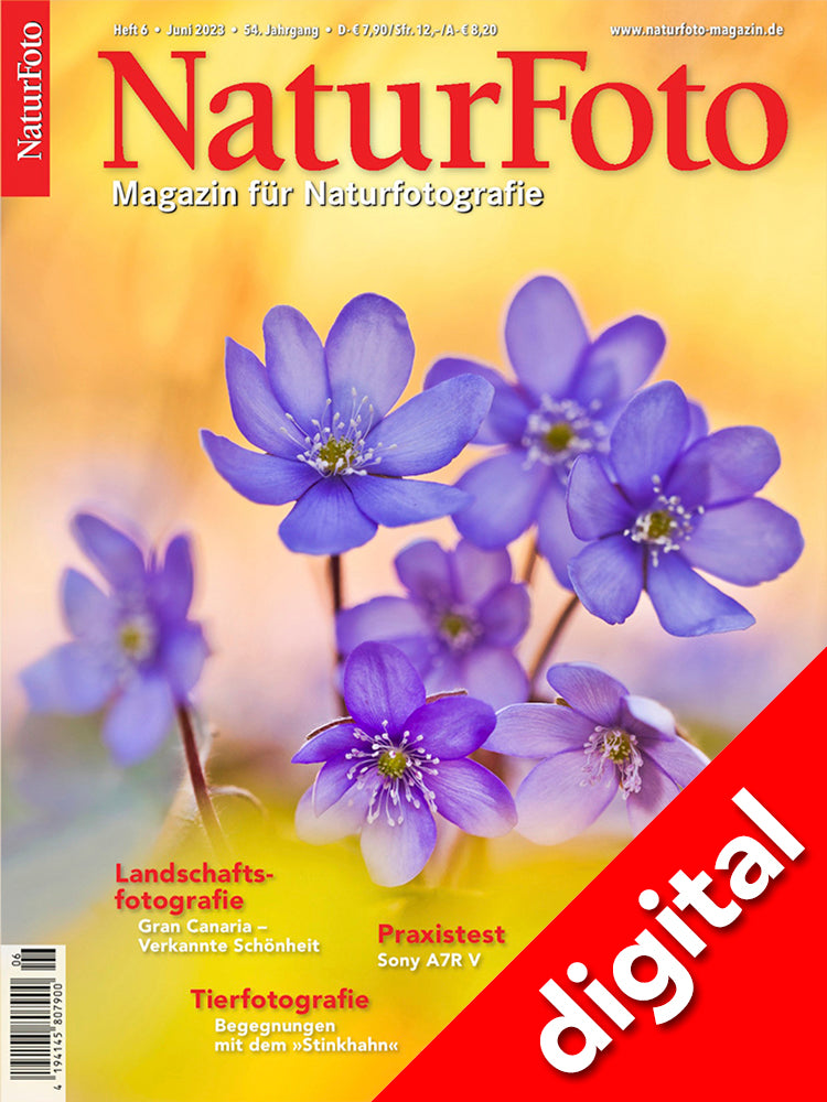 NaturFoto 6/2023 Digital