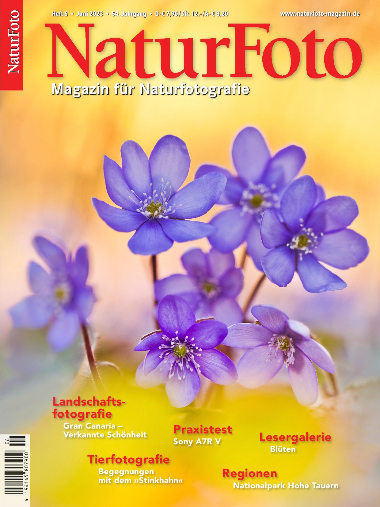 NaturFoto 6/2023