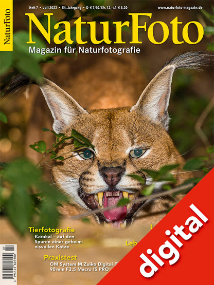 NaturFoto 7/2023 Digital