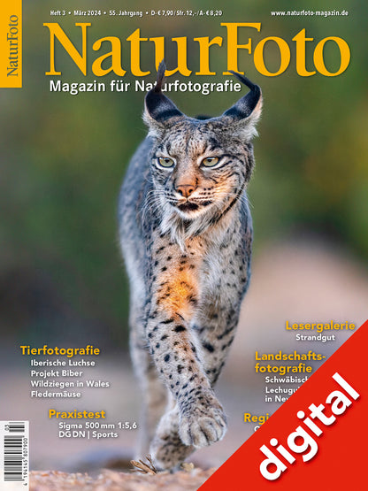 NaturFoto 3/2024