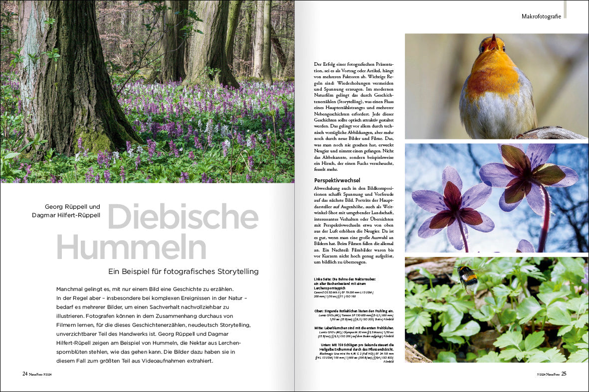 NaturFoto 7/2024 - Bild 2