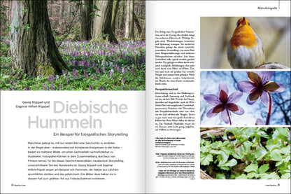 NaturFoto 7/2024 - Bild 2