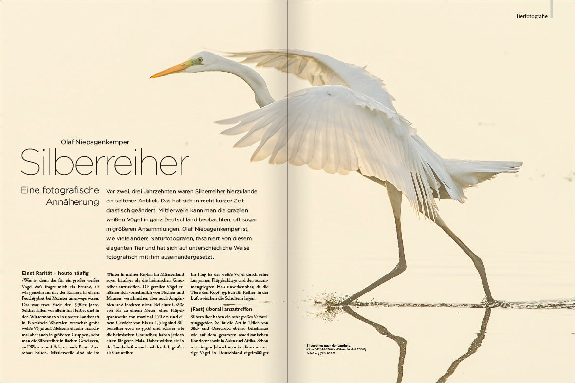 NaturFoto 7/2024 - Bild 7
