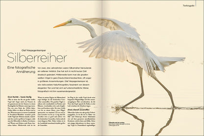 NaturFoto 7/2024 - Bild 7