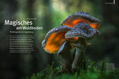 NaturFoto 10/2024 - Bild 5