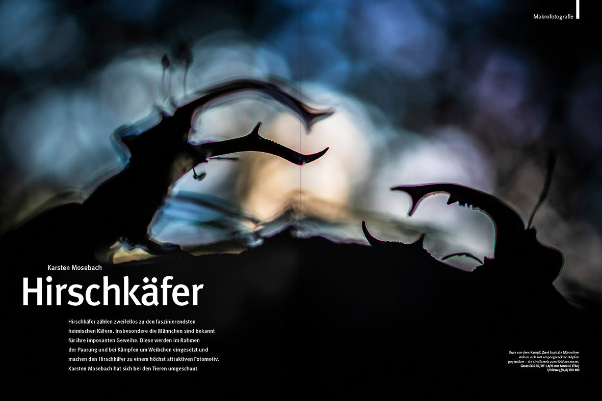 NaturFoto 10/2024 - Bild 3