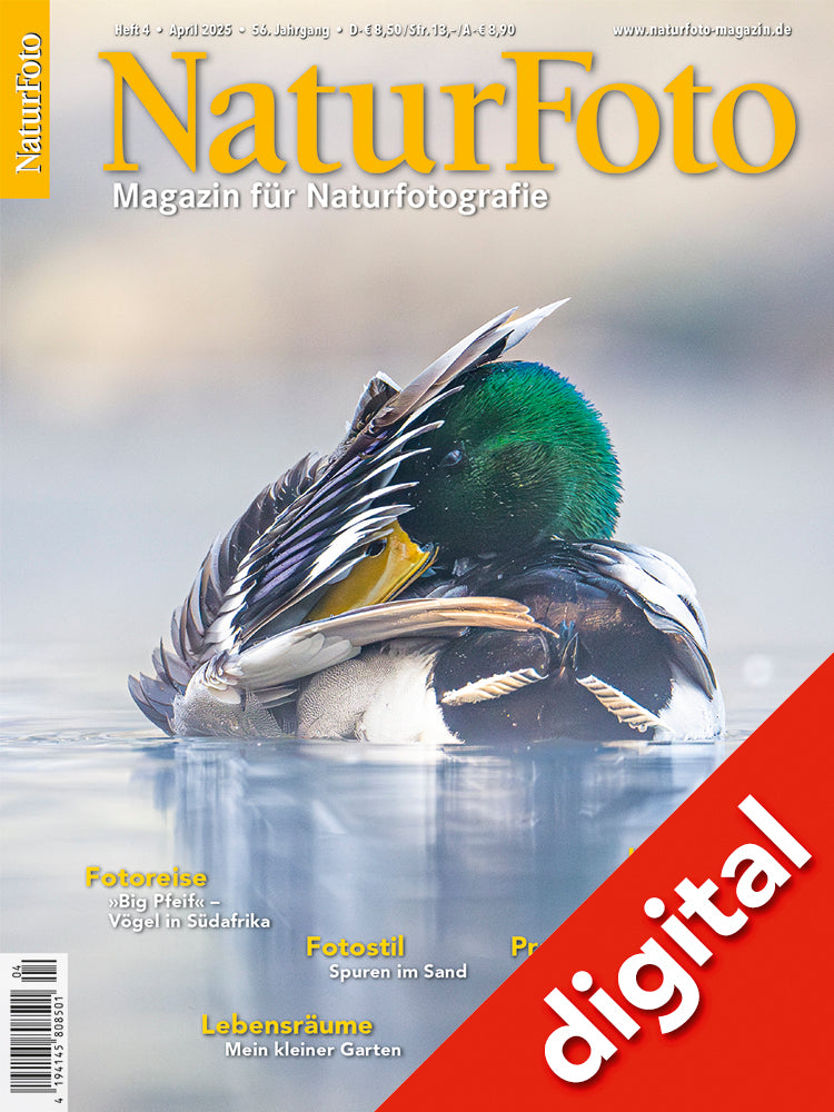 NaturFoto 4/2025 Digital
