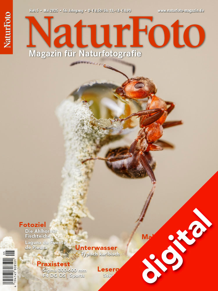 NaturFoto 5/2025 Digital