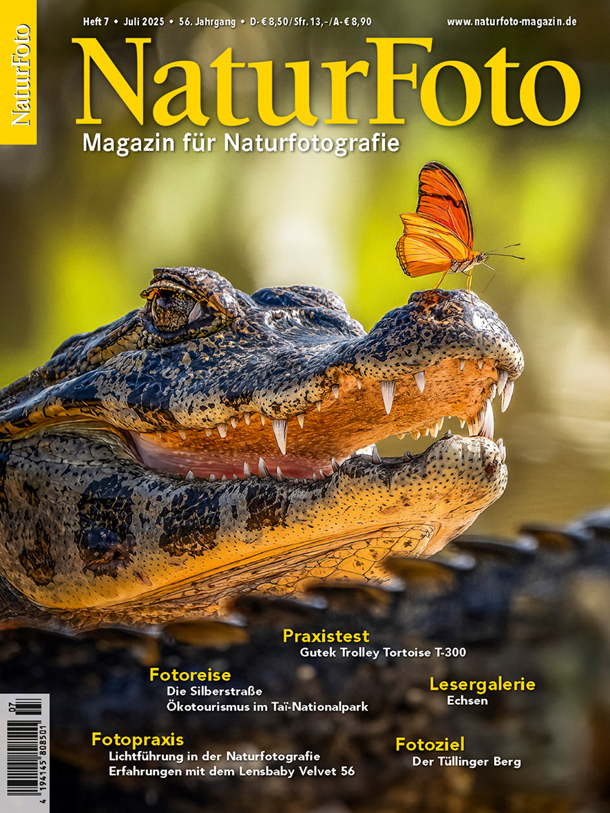 NaturFoto 7/2025