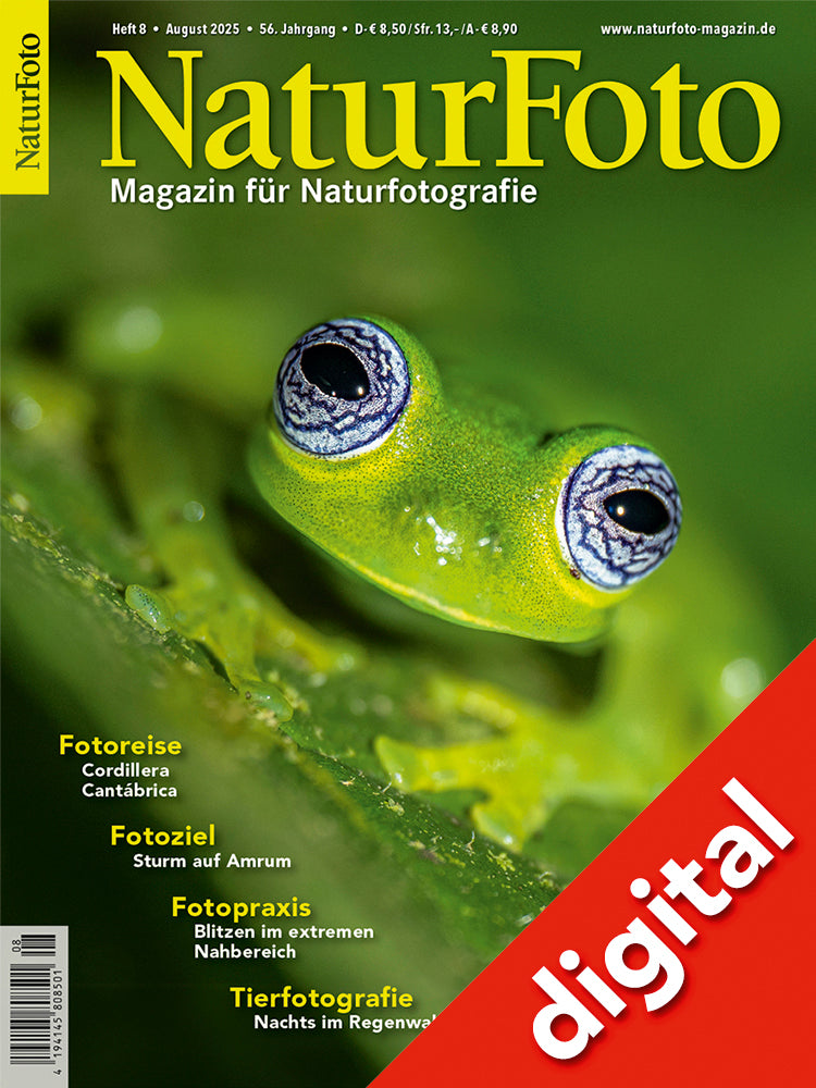NaturFoto 8/2025 Digital
